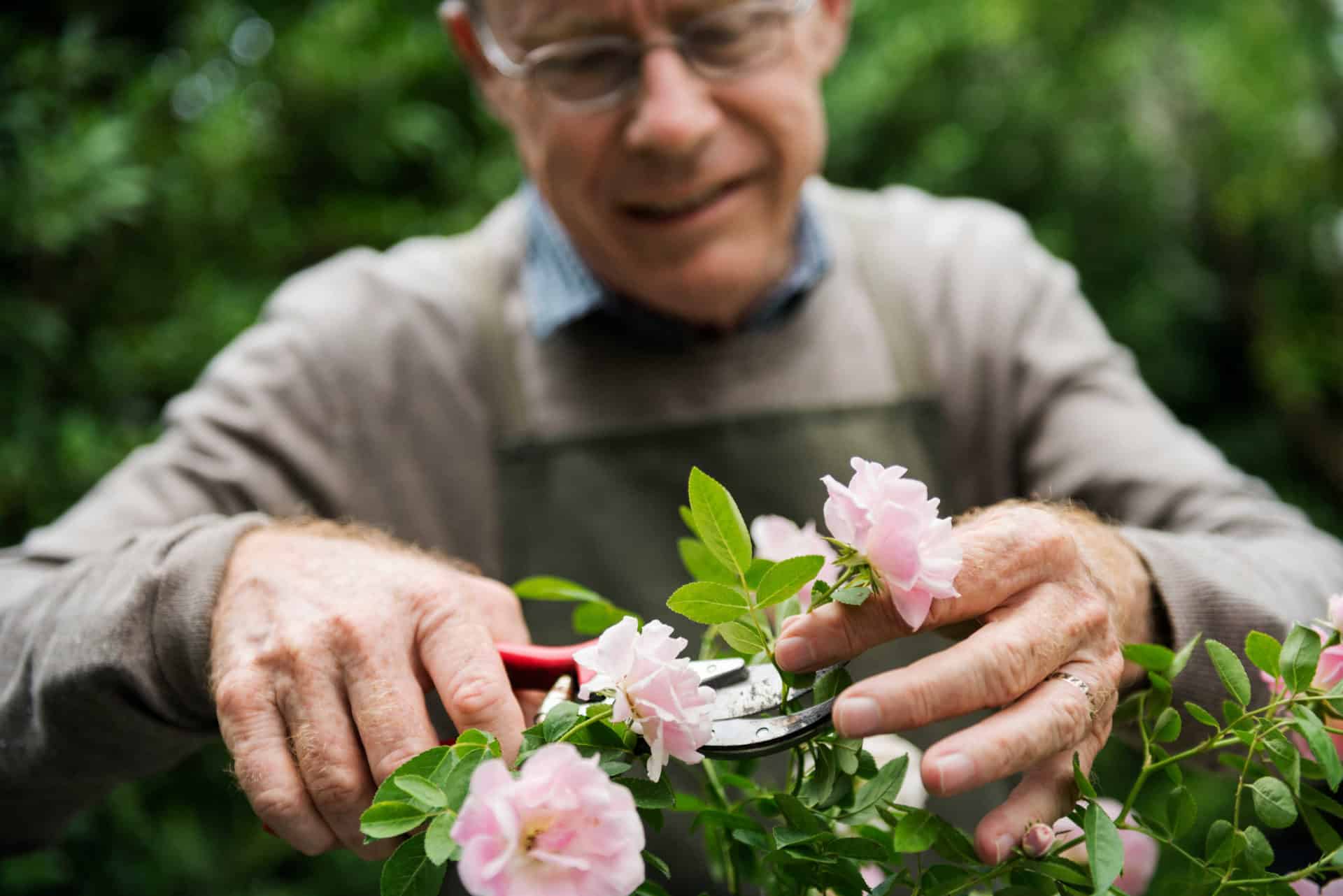 man-cutting-flowers