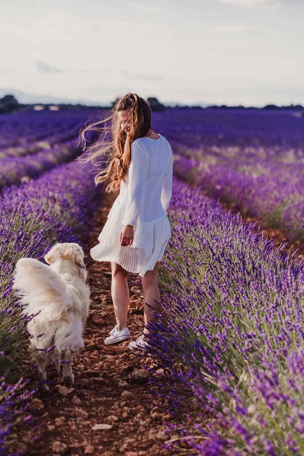 woman with dog in lavender field