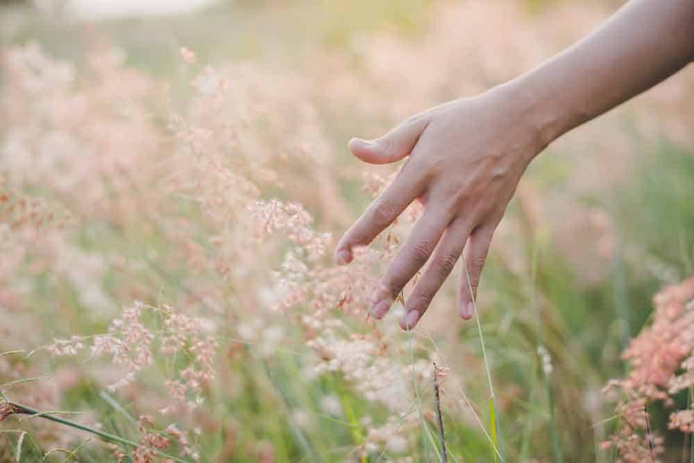 woman hand touching flower