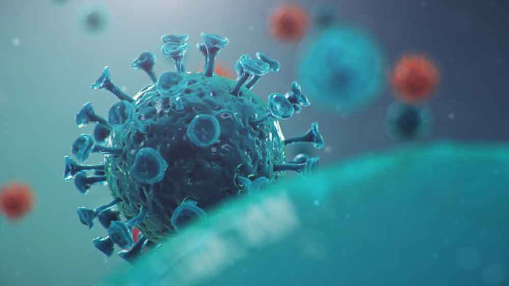 virus infects cells