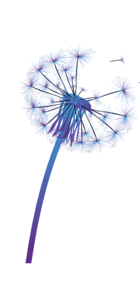 purple-dandelion-logo