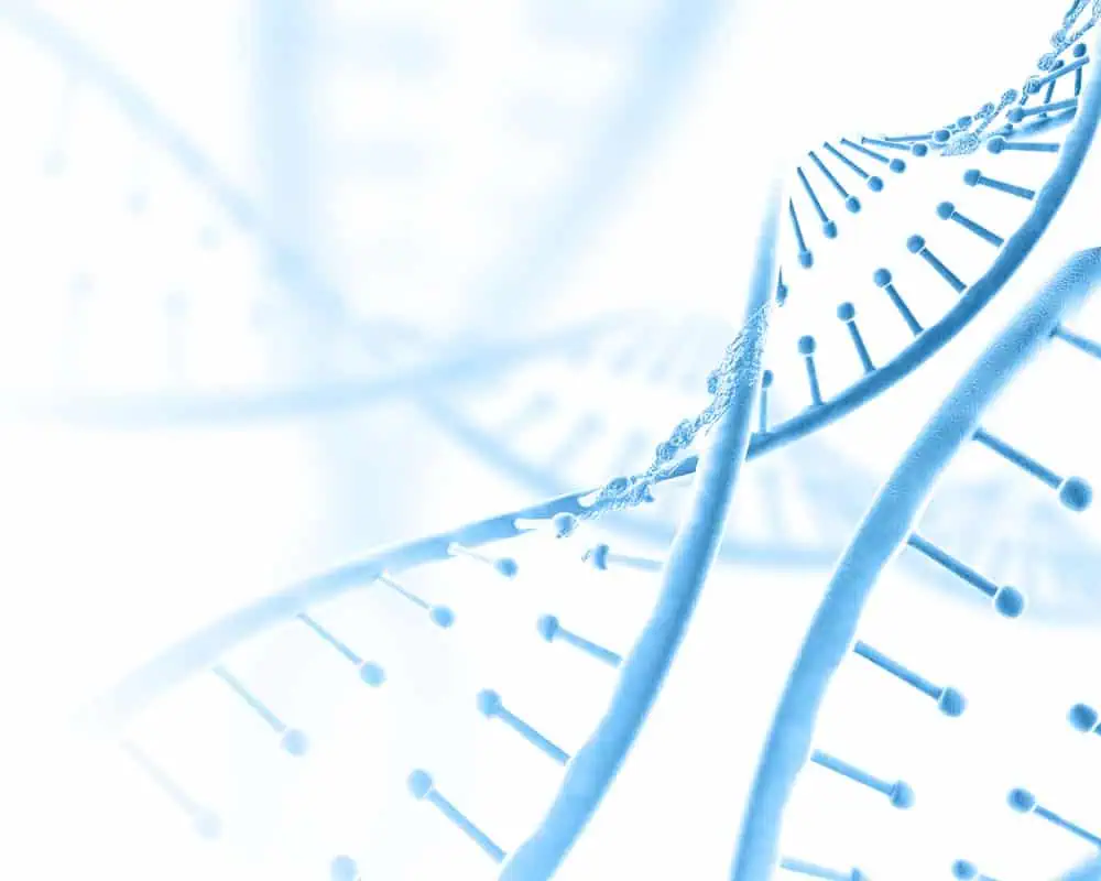 3d-medical-background-with-dna-strands 3d-medical-background-with-dna-strands