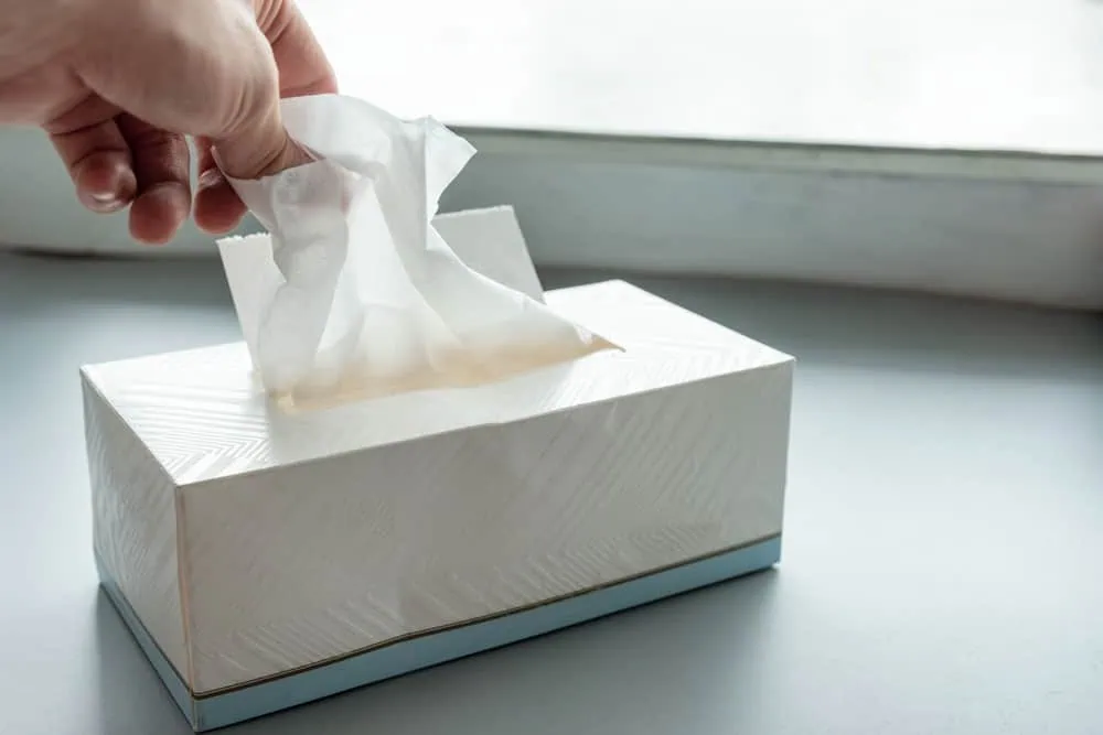 käsin-poiminta-valkoinen-paperi käsin-poiminta-valkoinen-paperi