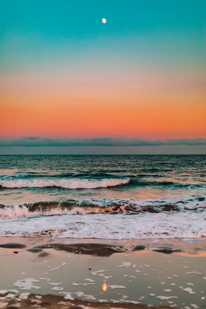 ryan loughlin f1kbt5nc8 i unsplash