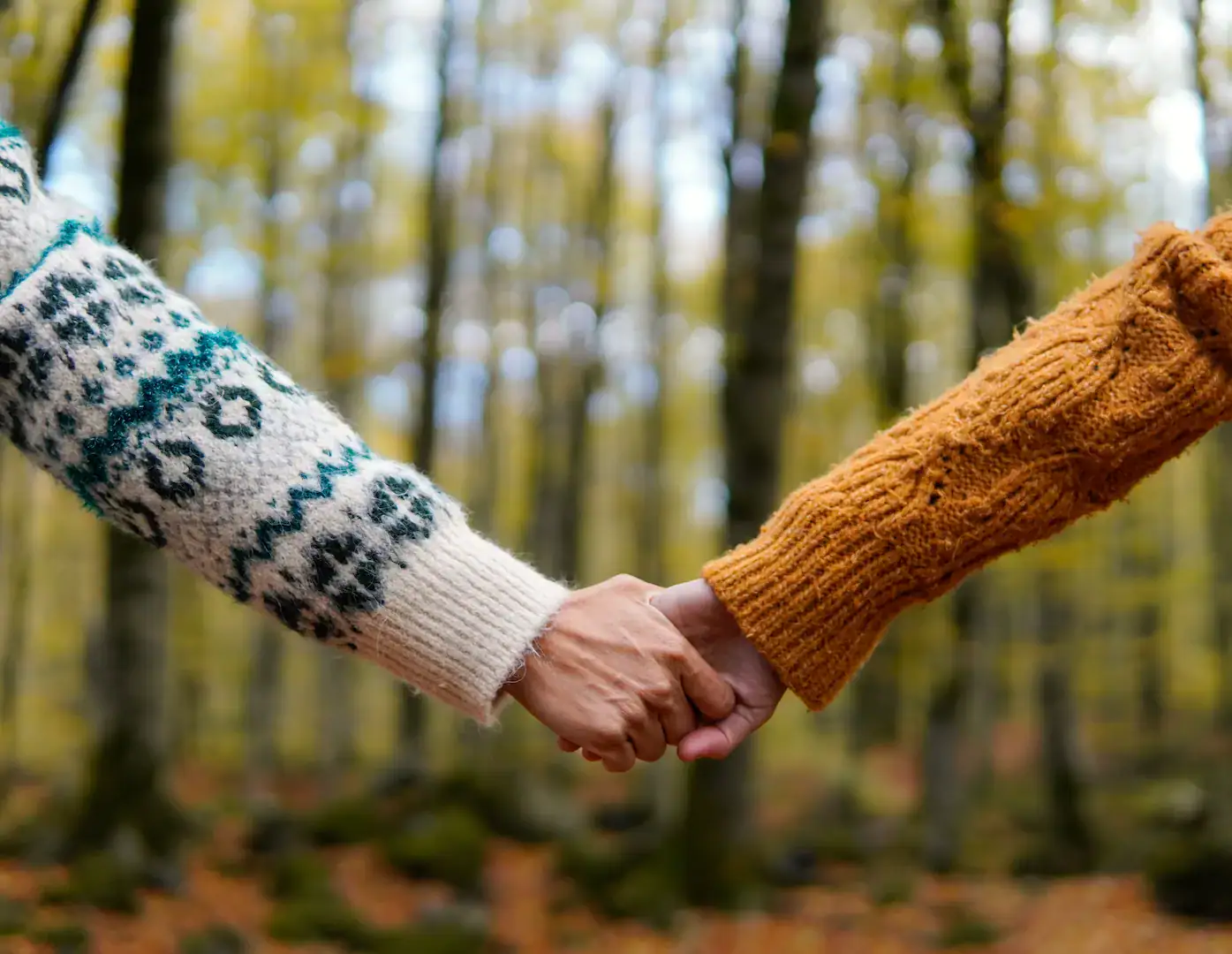two people hold hands in the woods and they are w 2023 07 18 01 34 56 utc
